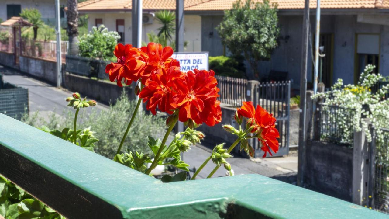 Bed and Breakfast Grotta Del Monaco Pedara Exterior foto